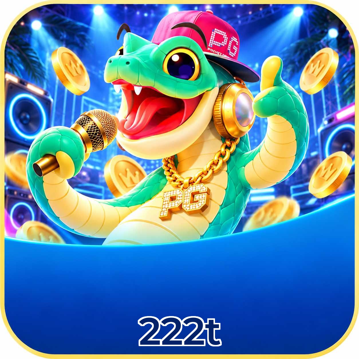 222t FAQ